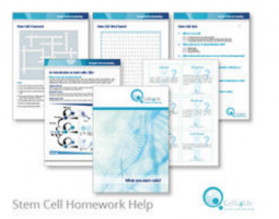 stem cells homework